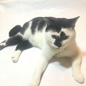 Meet your Posher, Jacob